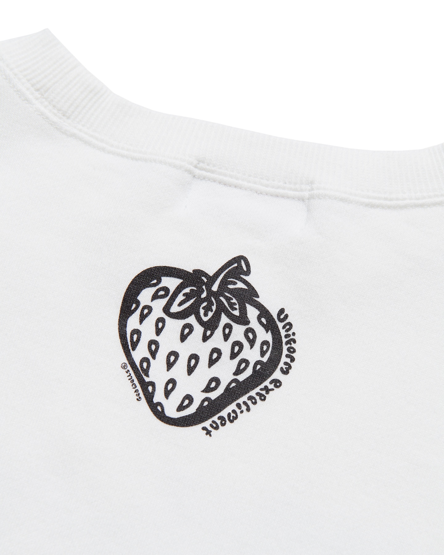 SOPH. | INSANE CREWNECK SWEAT(2 WHITE (STRAWBERRY)):