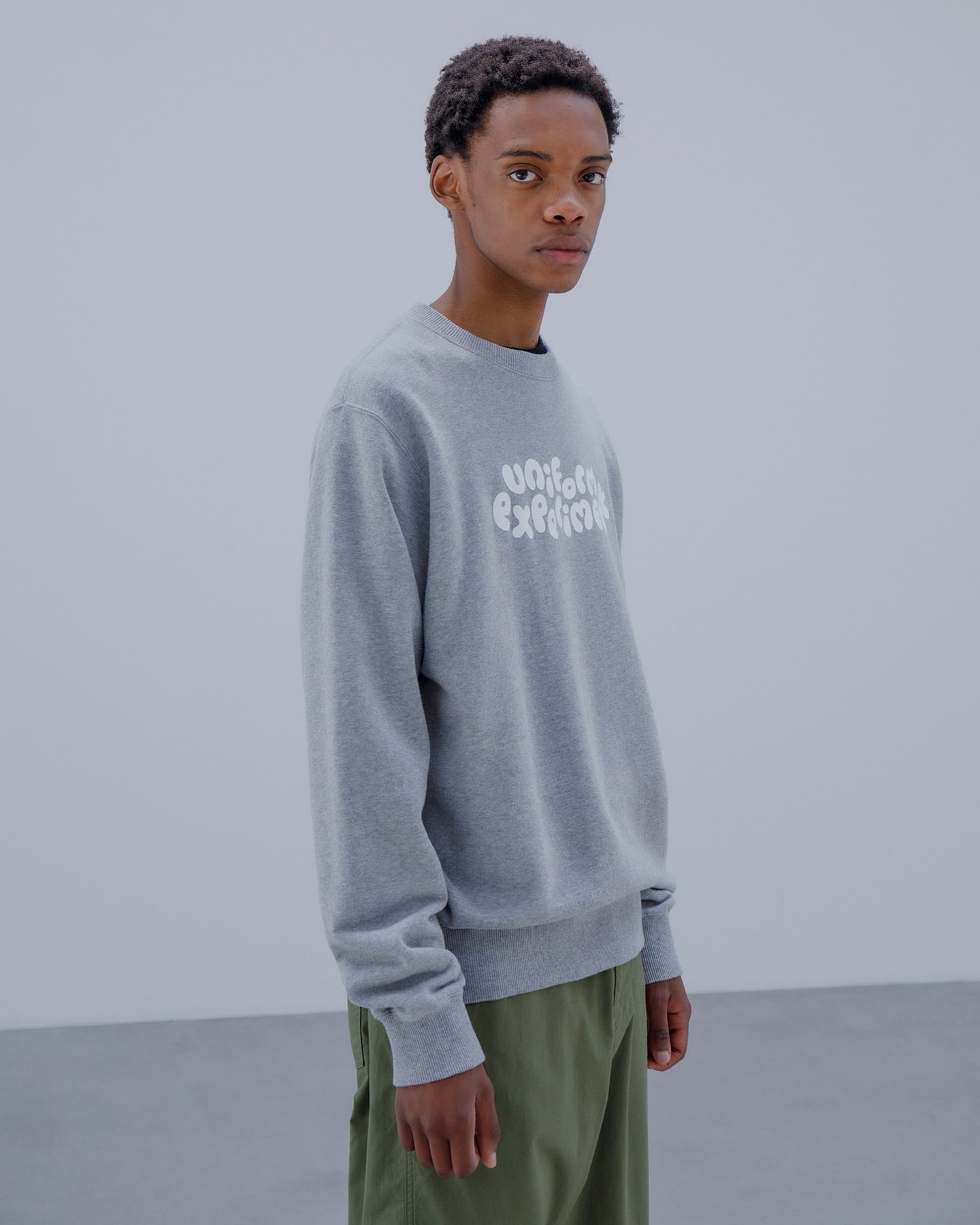 SOPH. | INSANE CREWNECK SWEAT(2 GRAY (TURTLE)):